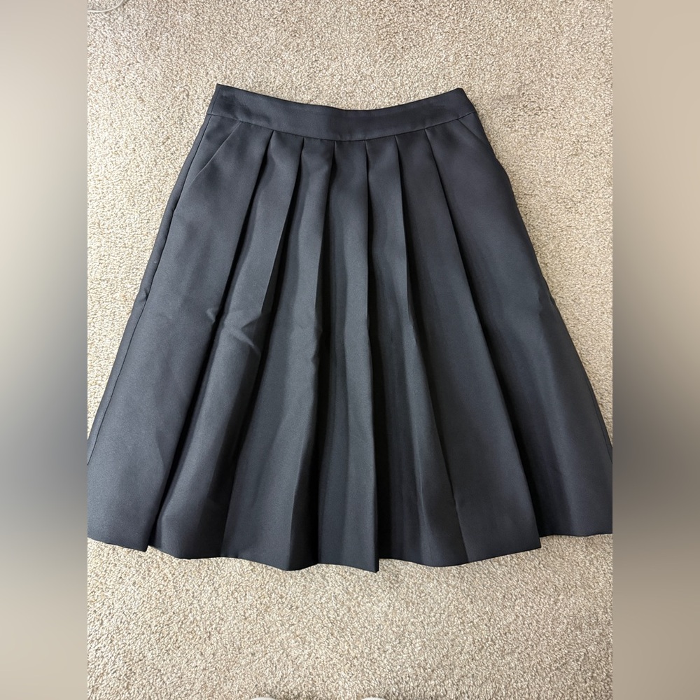 Ann Taylor Skirt